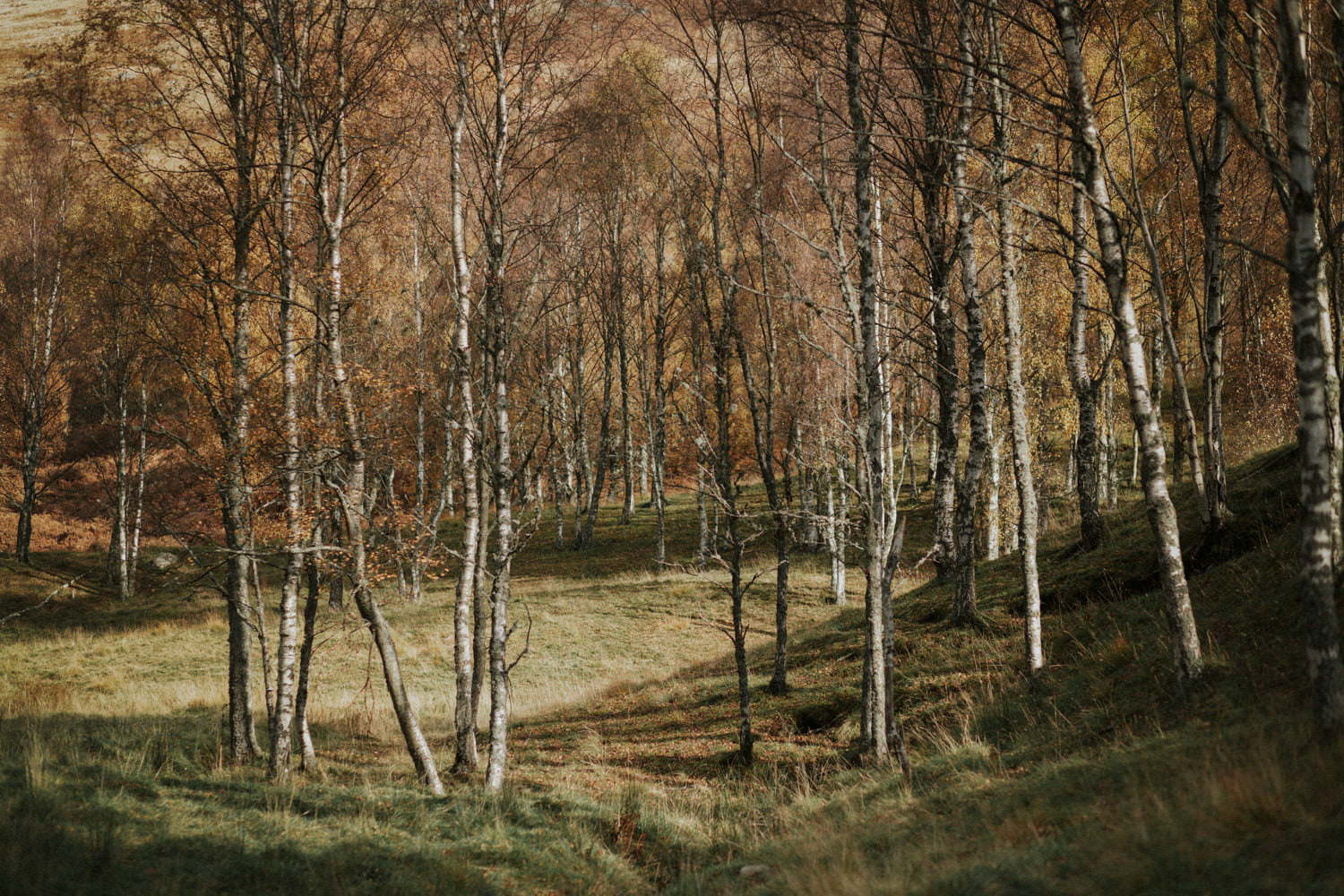 Adventurous session Scotland, Clova, Glen Clova, Wedding Photographer St Andrews