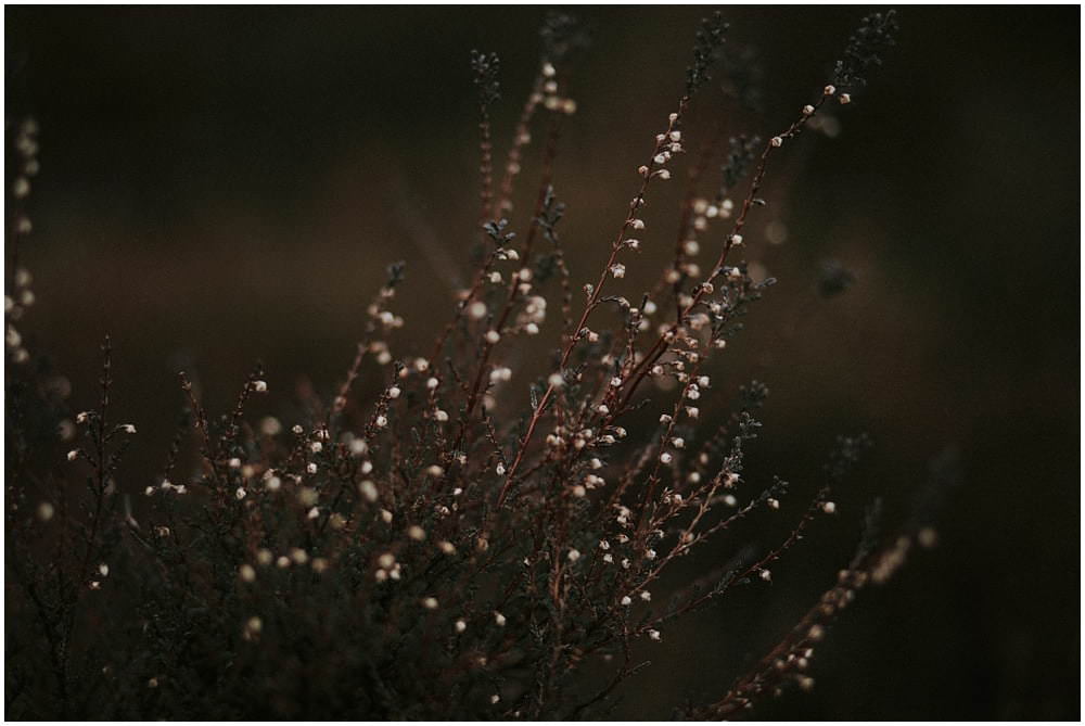 Glencoe adventure photoshoot, Glencoe couple photoshoot, Three Sisters Glencoe, winter in Glencoe,