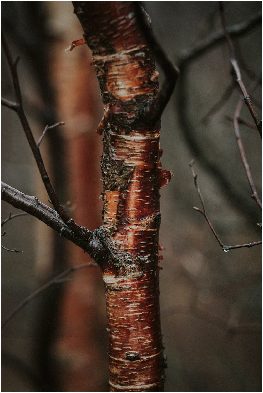 Glencoe adventure photoshoot, Glencoe couple photoshoot, Three Sisters Glencoe, winter in Glencoe,