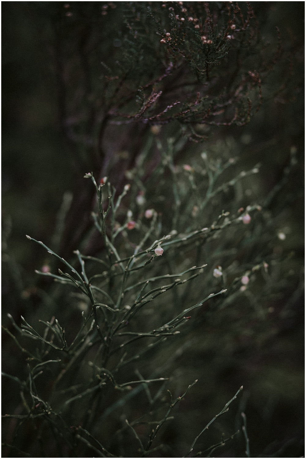 Glencoe adventure photoshoot, Glencoe couple photoshoot, Three Sisters Glencoe, winter in Glencoe,