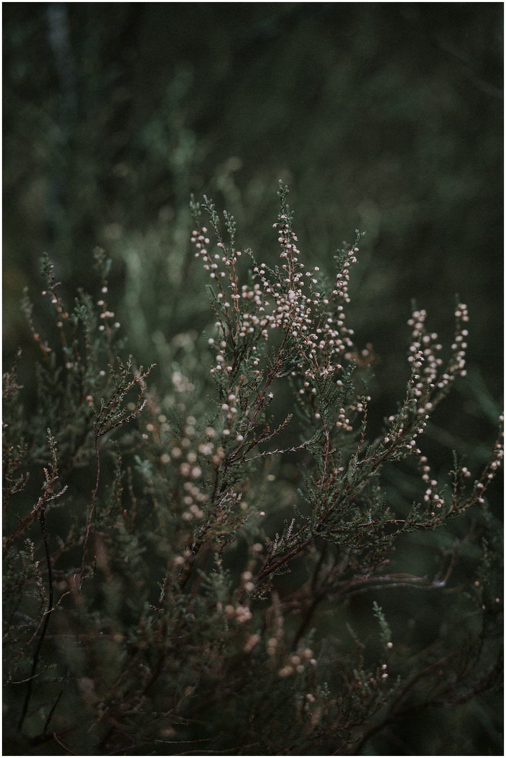 Glencoe adventure photoshoot, Glencoe couple photoshoot, Three Sisters Glencoe, winter in Glencoe,