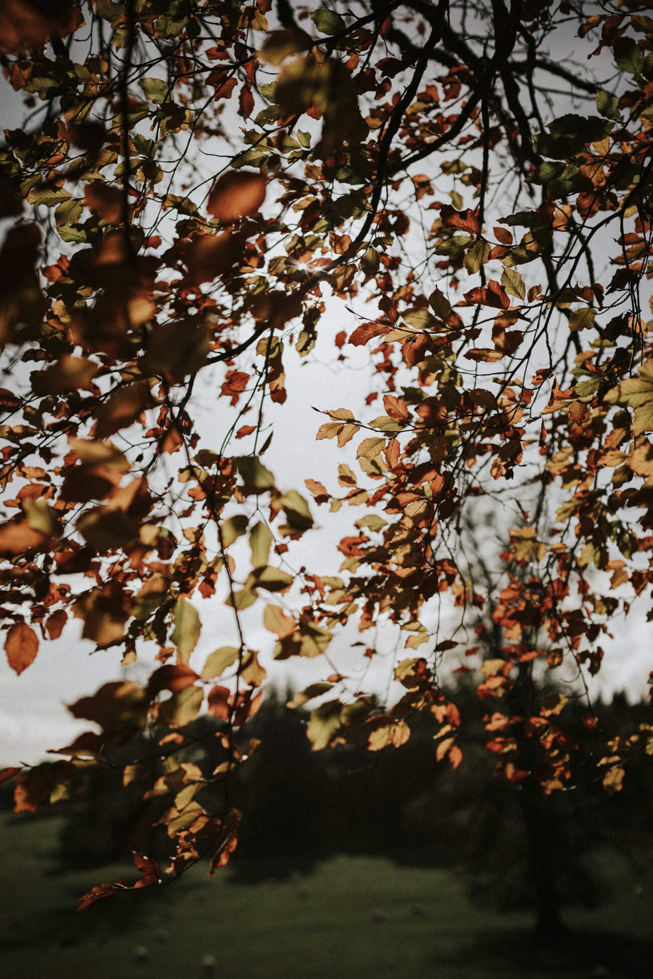 Intimate & Romantic Thirlestane Castle wedding