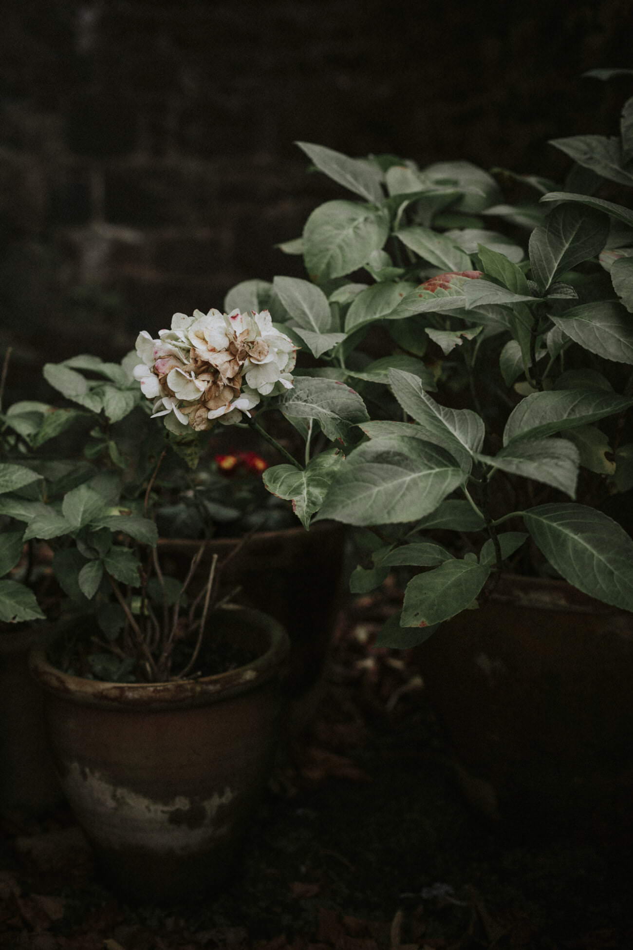 Intimate & Romantic Thirlestane Castle wedding
