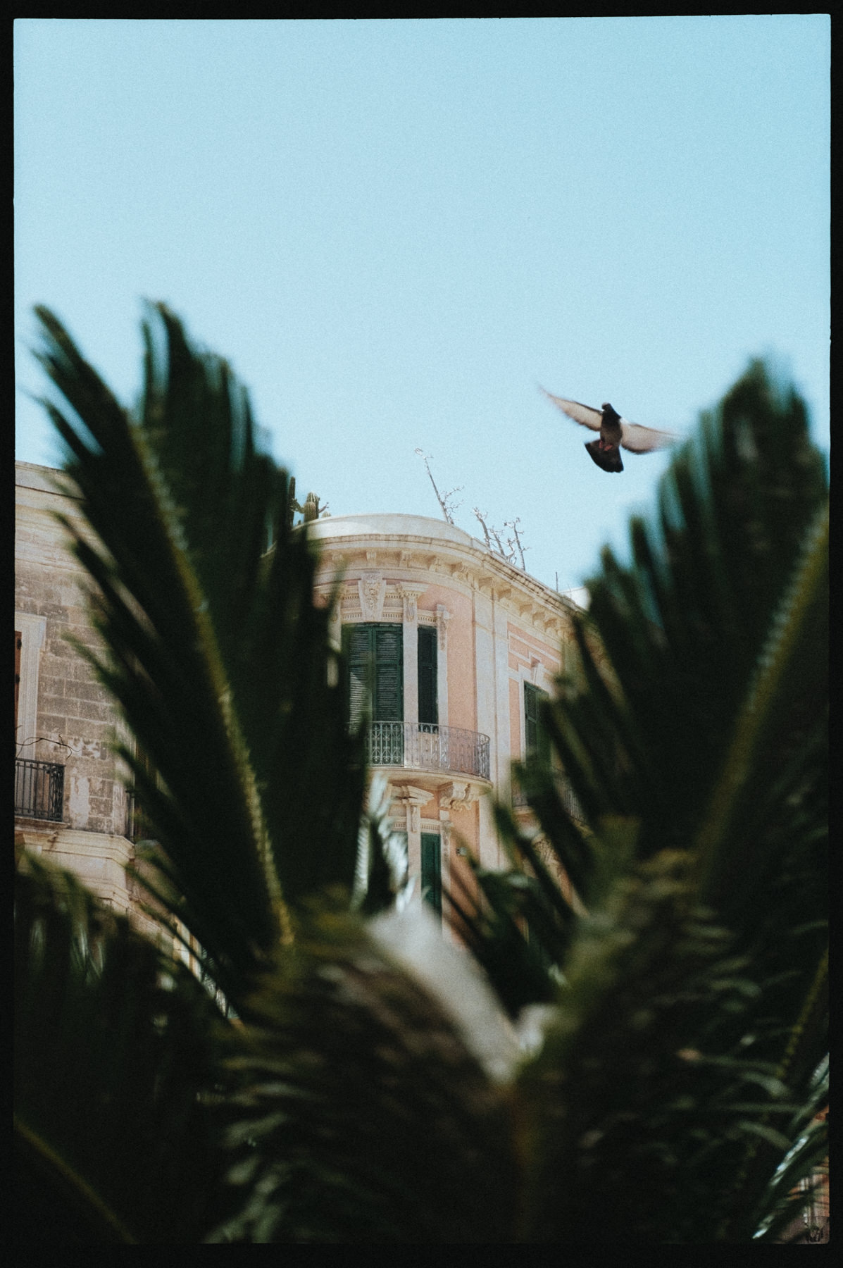 The Best Time to Get Married in Sicily 6